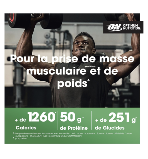 Optimum Nutrition Serious Mass Poudre de Protéine, 5.45 kg