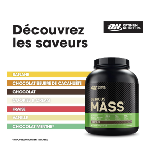 Optimum Nutrition Serious Mass Poudre de Protéine, Saveur Chocolat, 2.73 kg