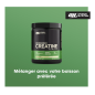 Optimum Nutrition Micronised Creatine Powder, 317g