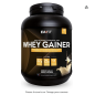 WHEY GAINER - EAFIT